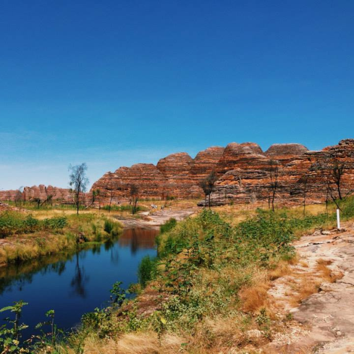 The Iconic Kimberley Air Safari