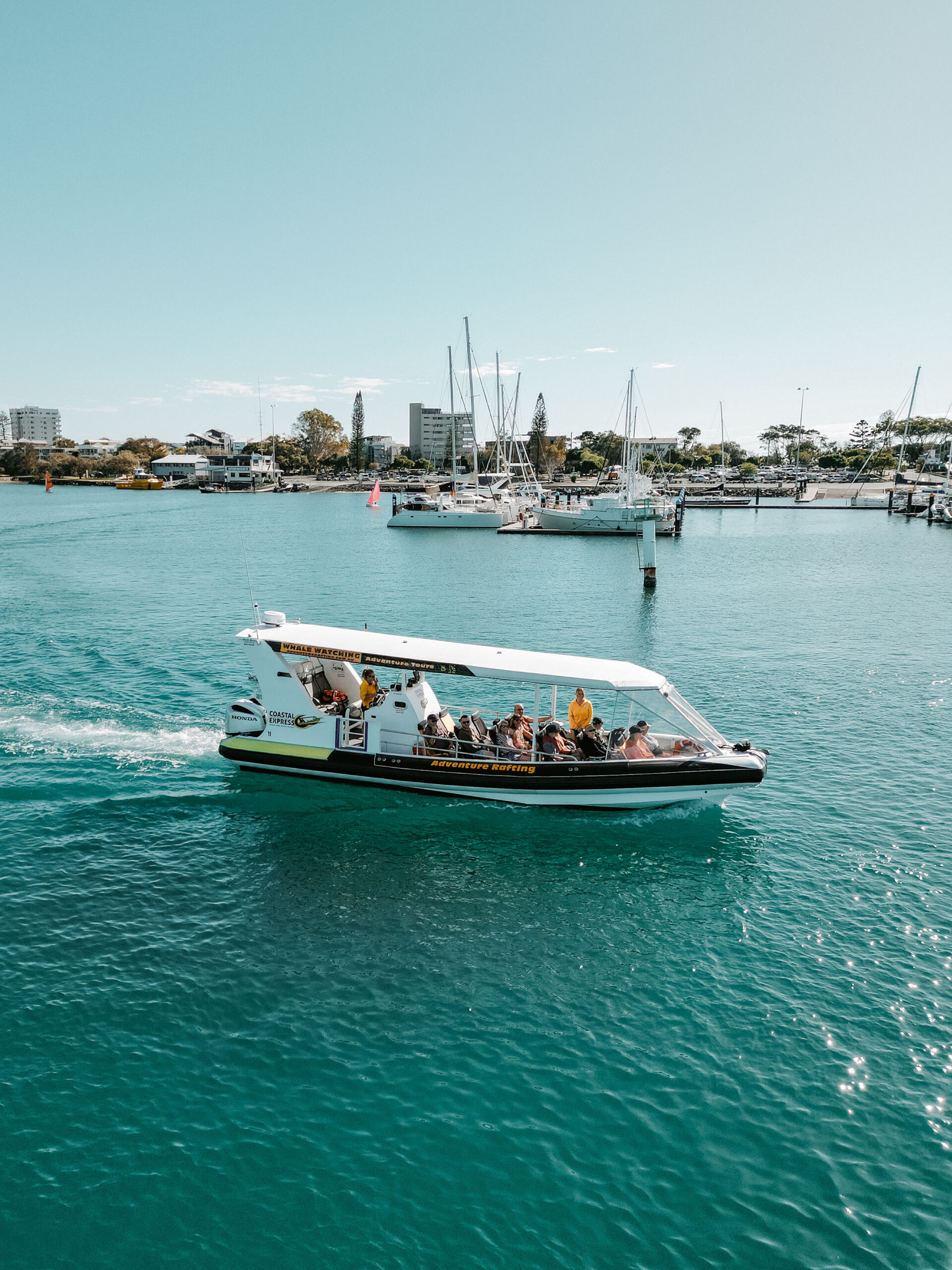 2HR Mooloolaba Whale Watching Experience (June - Oct)