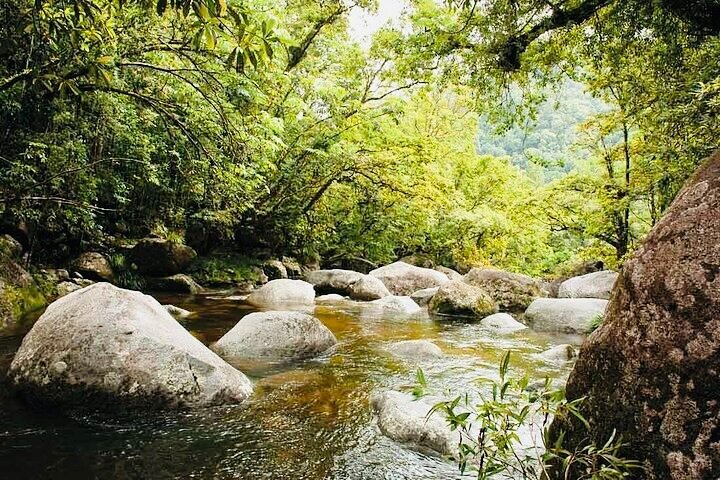 Return Shuttle Mossman Gorge From Port Douglas