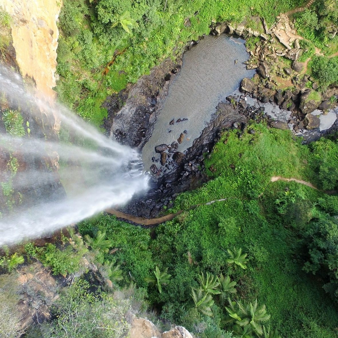 Natural Bridge Springbrook tour + Hot Air