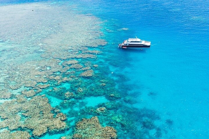 Great Barrier Reef Tour with Indigenous Sea Rangers-Dreamtime Dive and Snorkel
