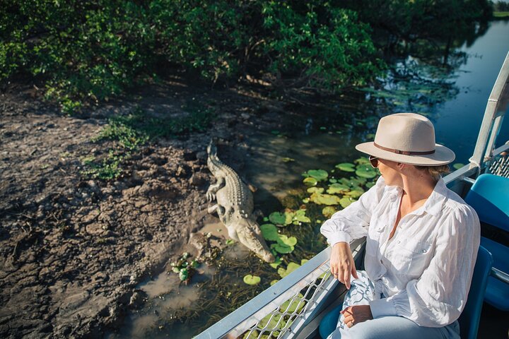 Adelaide Rivers Wetlands Cruise with Crocodile Experience from Darwin