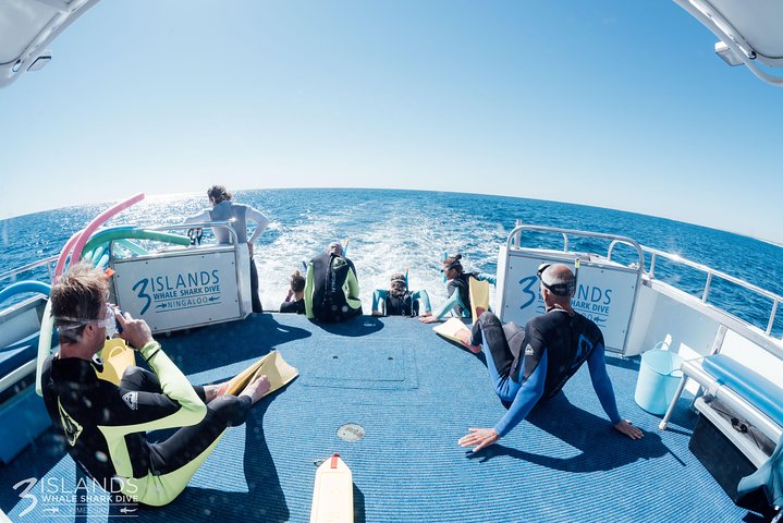 Swim with Humpback Whales – Ningaloo Reef – 3 Islands Whale Shark Dive