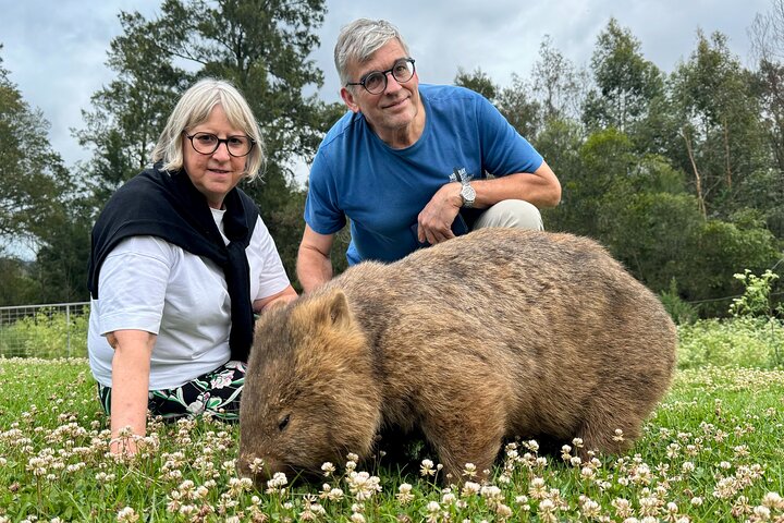 Wild Wombat and Kangaroo Day Tour from Sydney