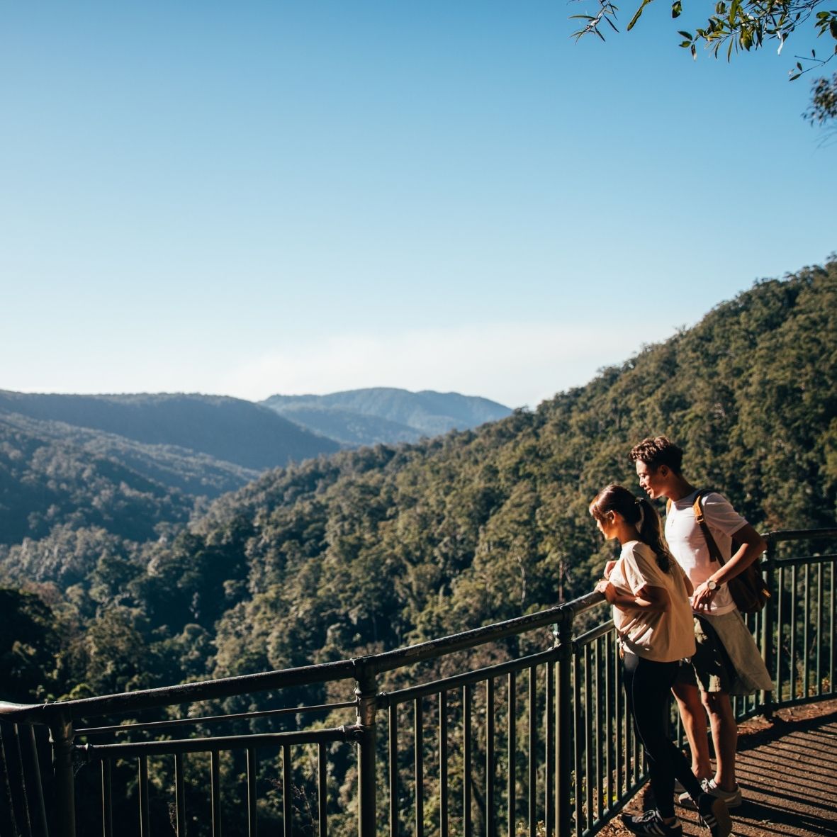 Natural Bridge Springbrook tour + Hot Air