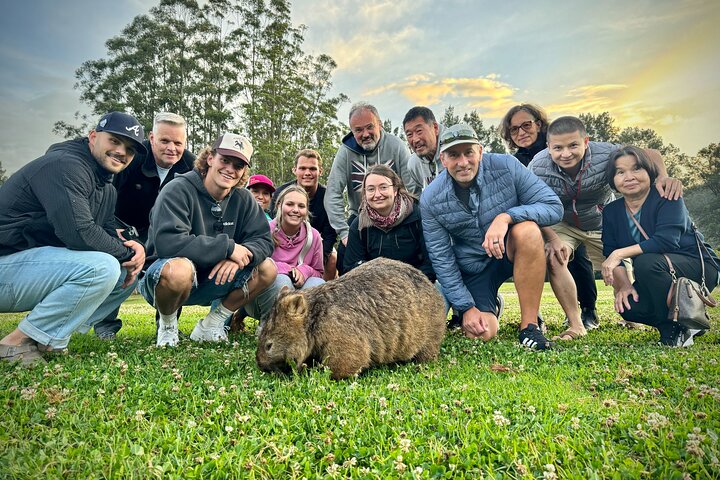 Wild Wombat and Kangaroo Day Tour from Sydney