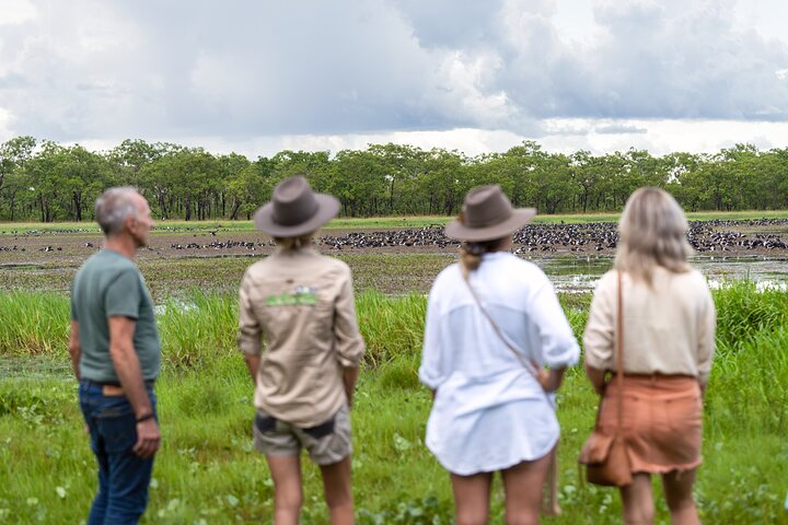 Crocodile Jumping Wetlands Cruise with Transfer from Darwin