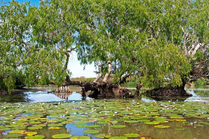 Ethical Adventures - Best in the WET - Litchfield / Kakadu 3 Day- max 10 guests