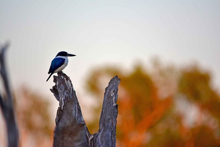 Ethical Adventures - Best in the WET - Litchfield / Kakadu 3 Day- max 10 guests