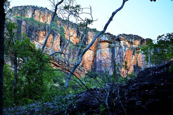 Ethical Adventures - Best in the WET - Litchfield / Kakadu 3 Day- max 10 guests