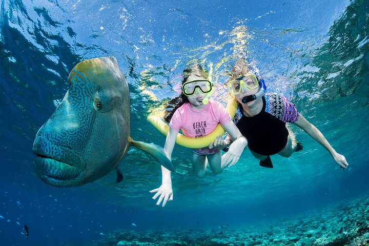 Guided Outer Reef Snorkelling Tour | Our boat only takes 12 customers in total