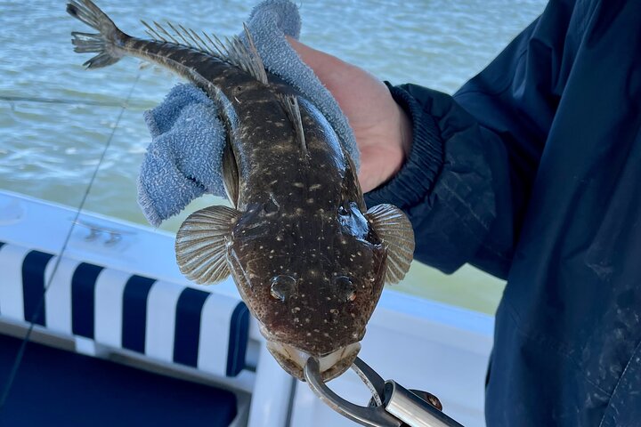 Private Calm Water Fishing on Gold Coast's Broadwater