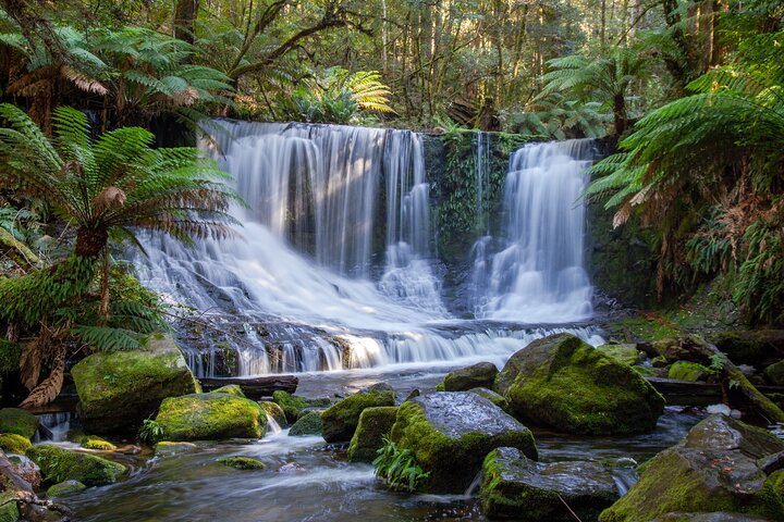 Mt Field National Park and Russell Falls from Hobart