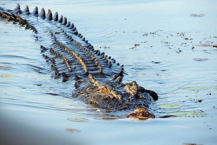 Ethical Adventures - Best in the WET - Litchfield / Kakadu 3 Day- max 10 guests