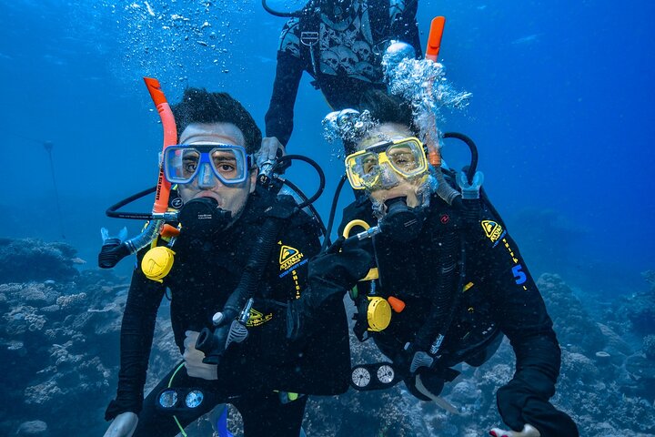 Great Barrier Reef with Cultural Guides-Dreamtime Dive & Snorkel