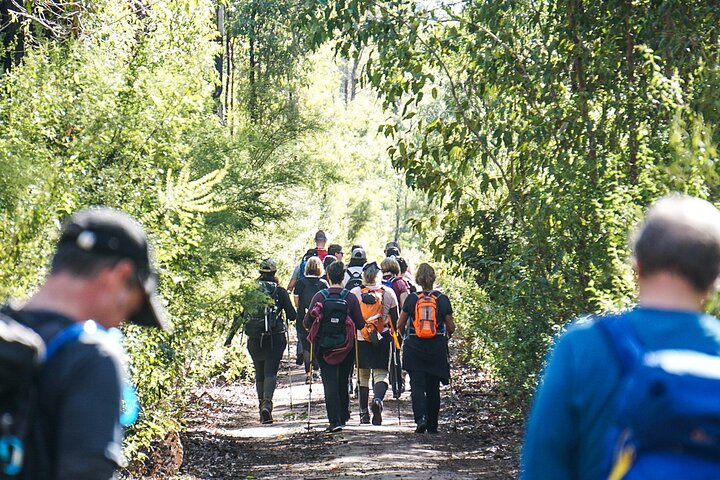 King Jarrah Full Day Hiking Experience Dwellingup