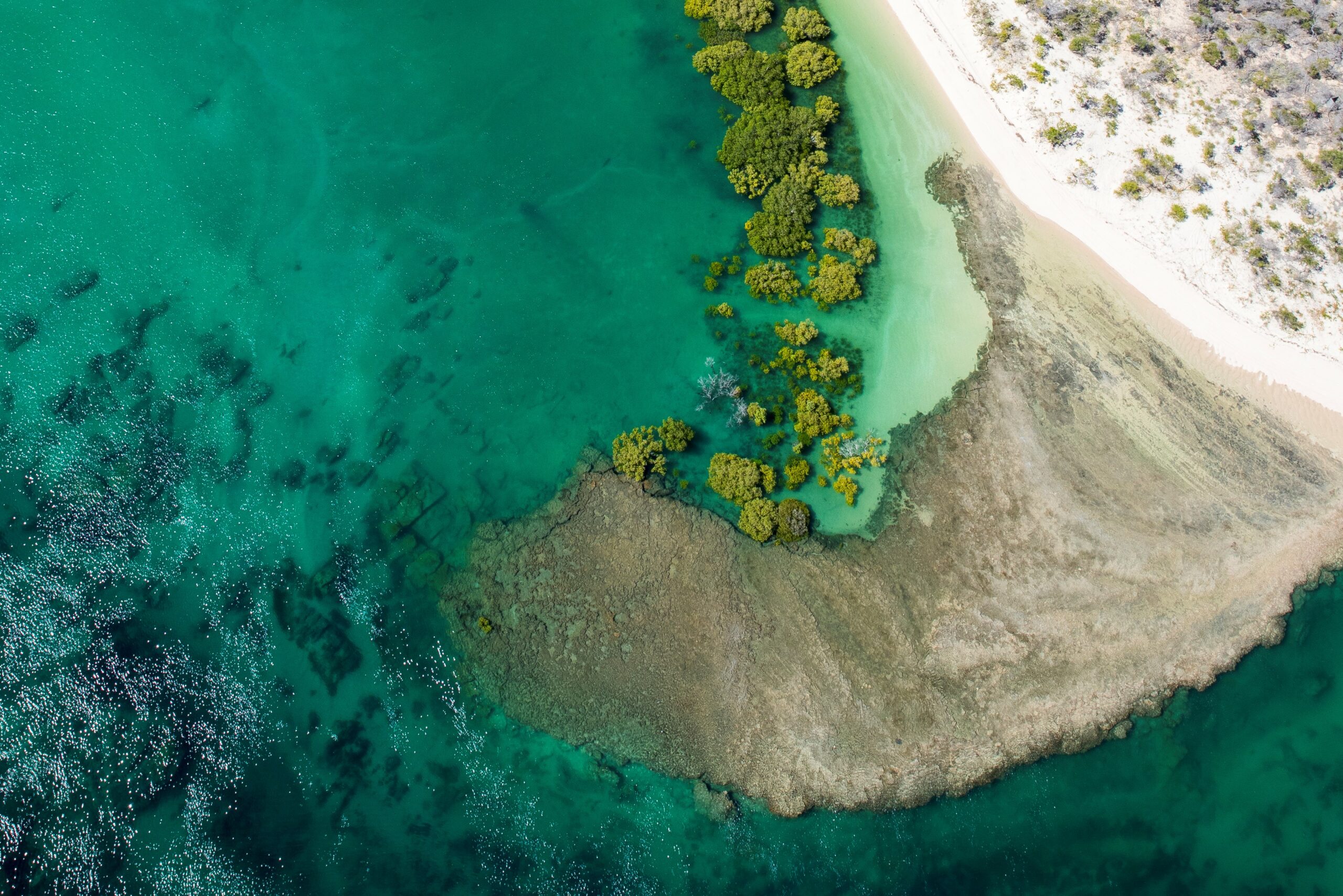 Eco Beach One-Way Transfer to/from Broome