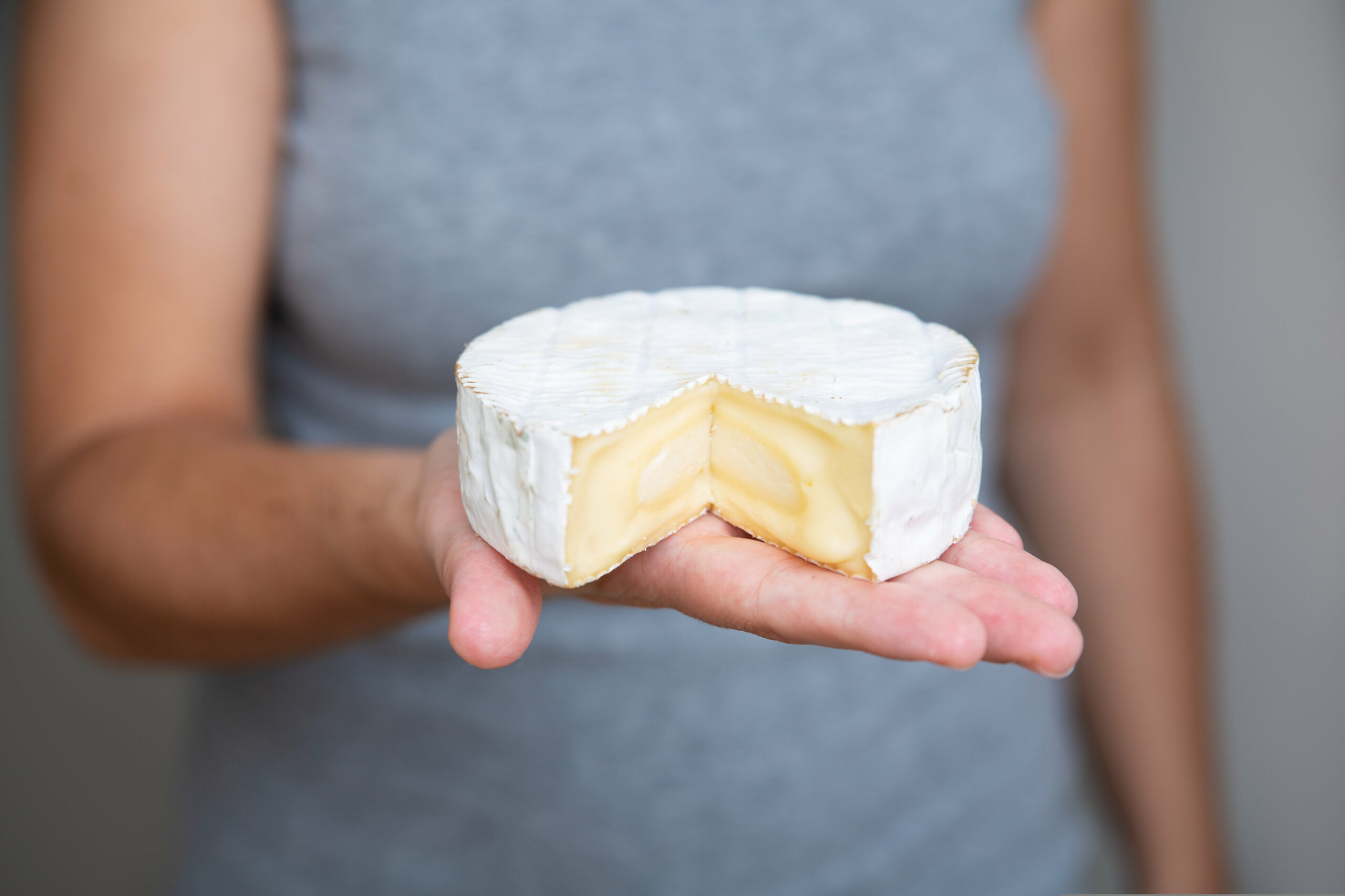 Cheesemaking Workshop – Camembert, Quarg & Mascarpone