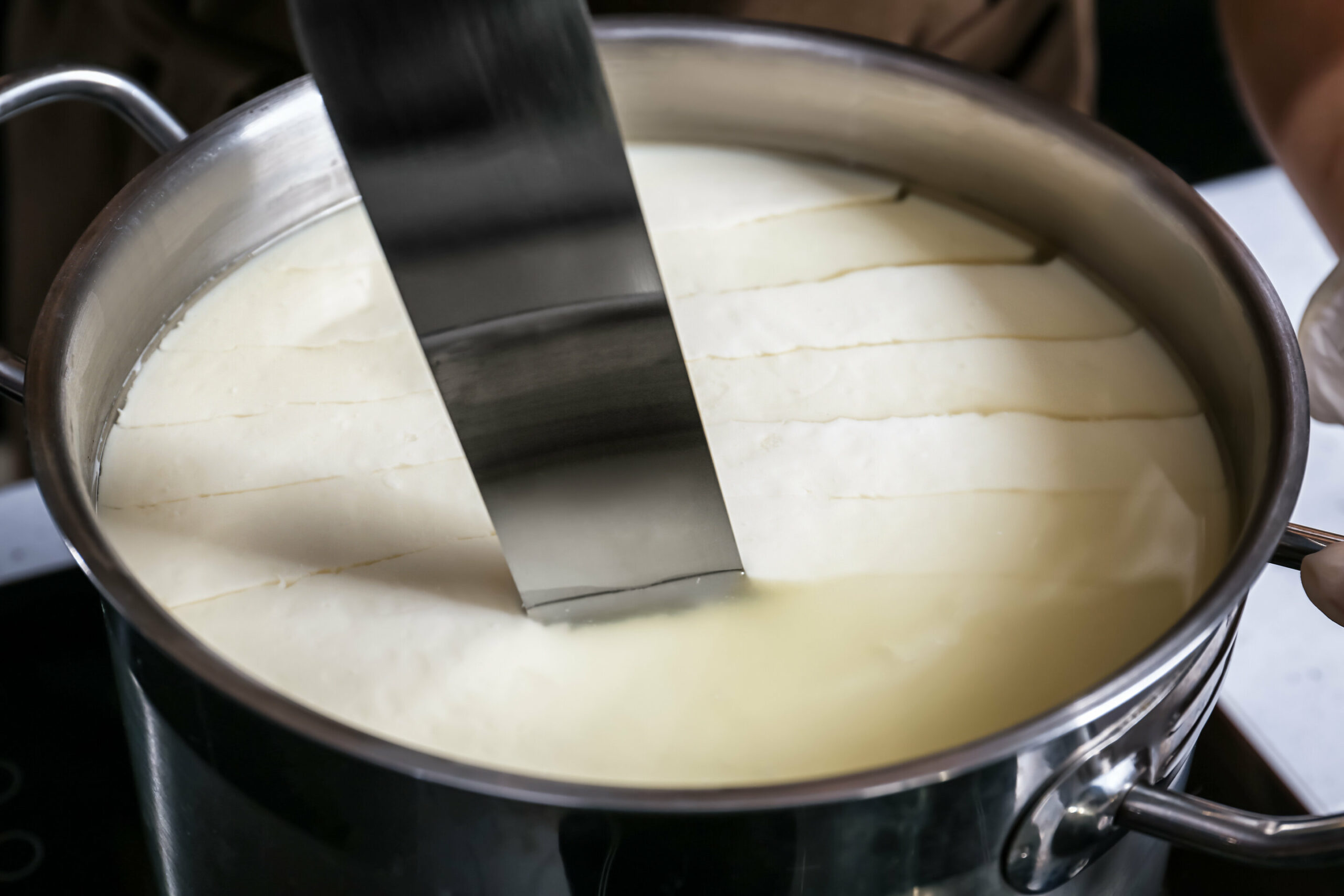 Cheesemaking Workshop - Camembert, Quarg & Mascarpone