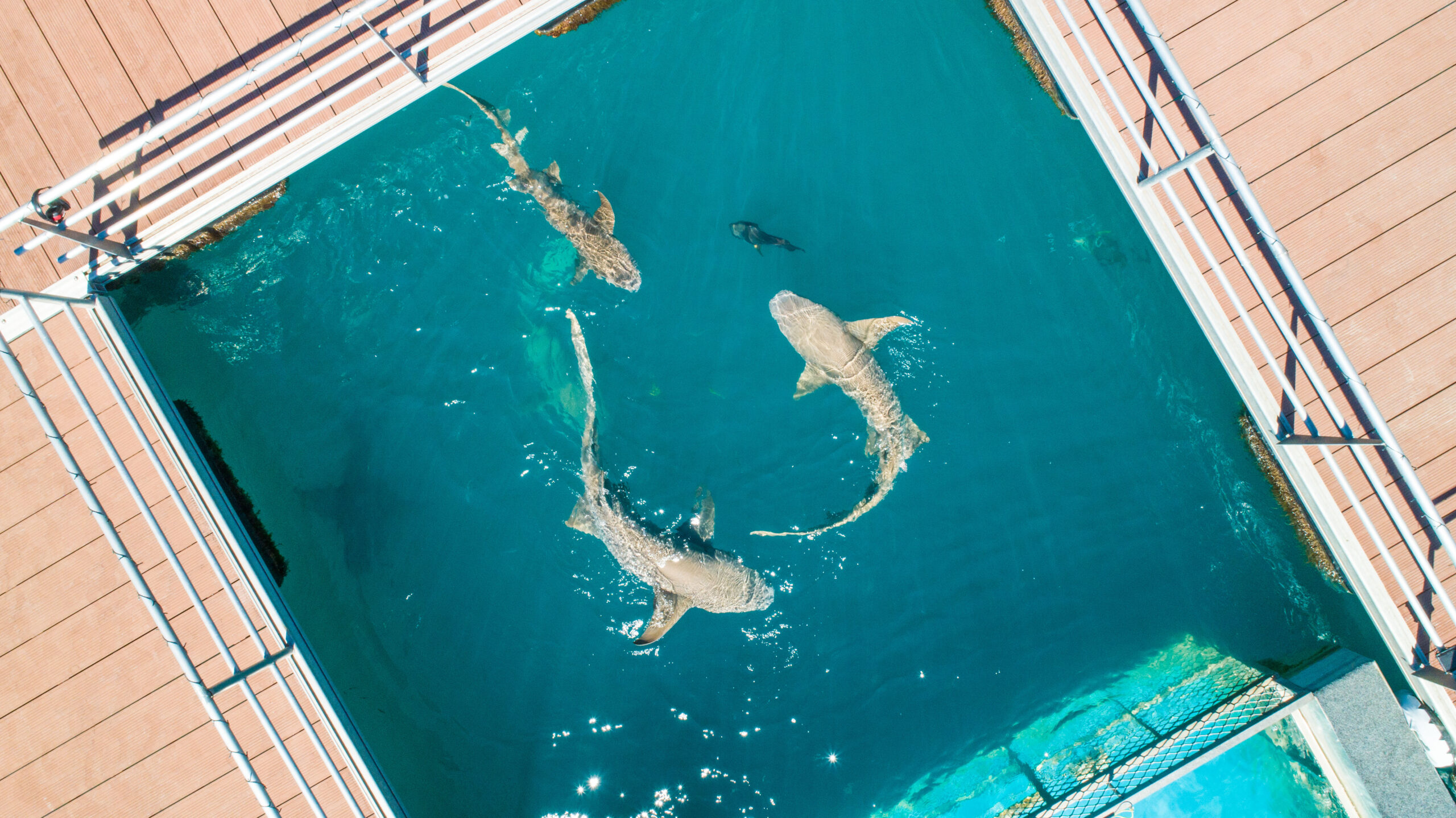 BME-MHFD | Montgomery Reef & Horizontal Falls Discoverer (includes landing, boat tour & lunch) ex Broome