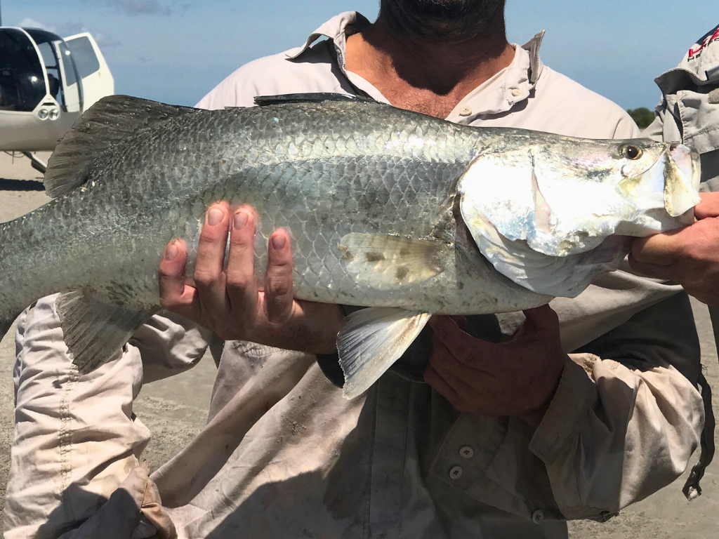 Broome Guided Helifishing