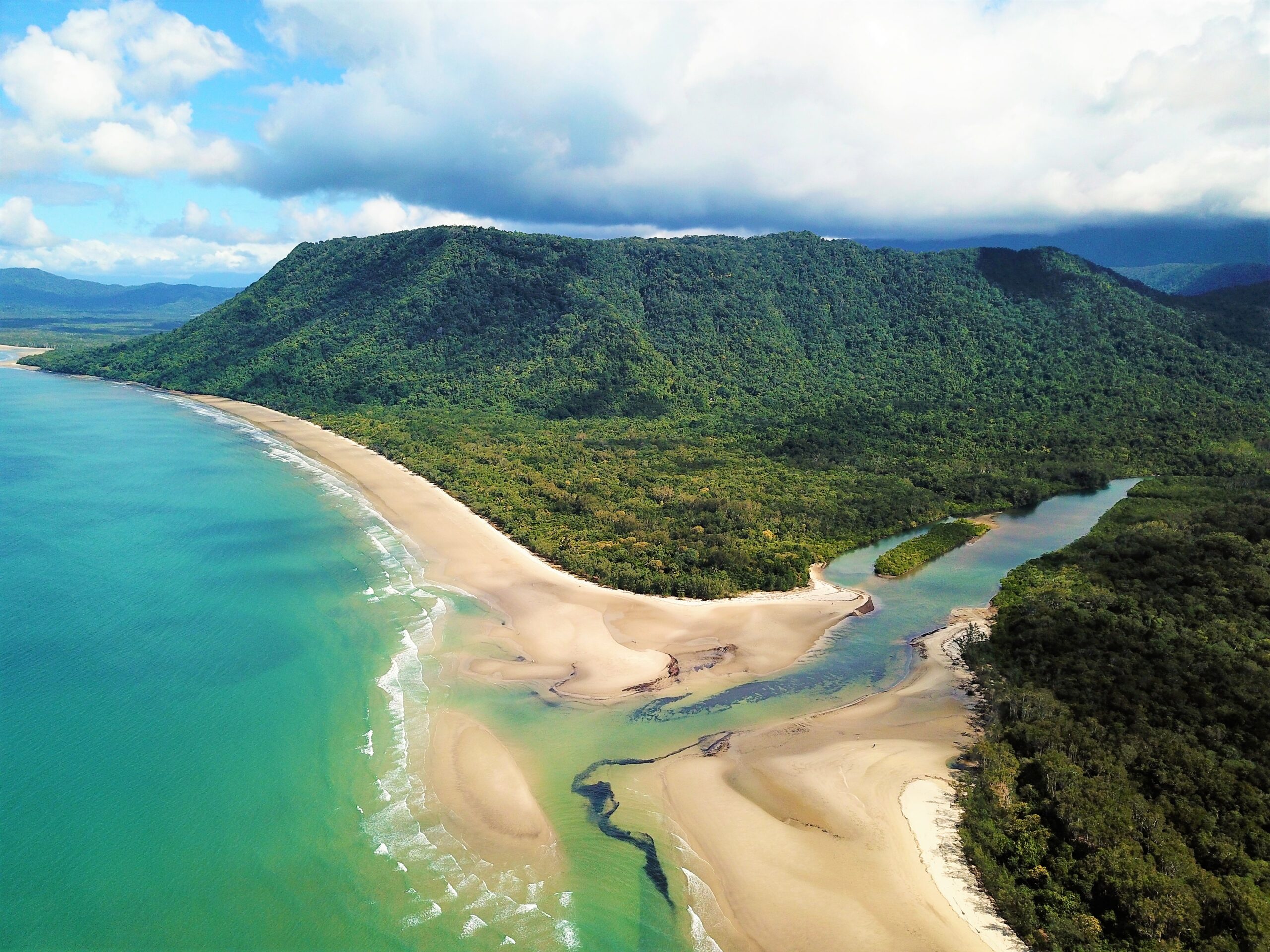 daintree rainforest day tour