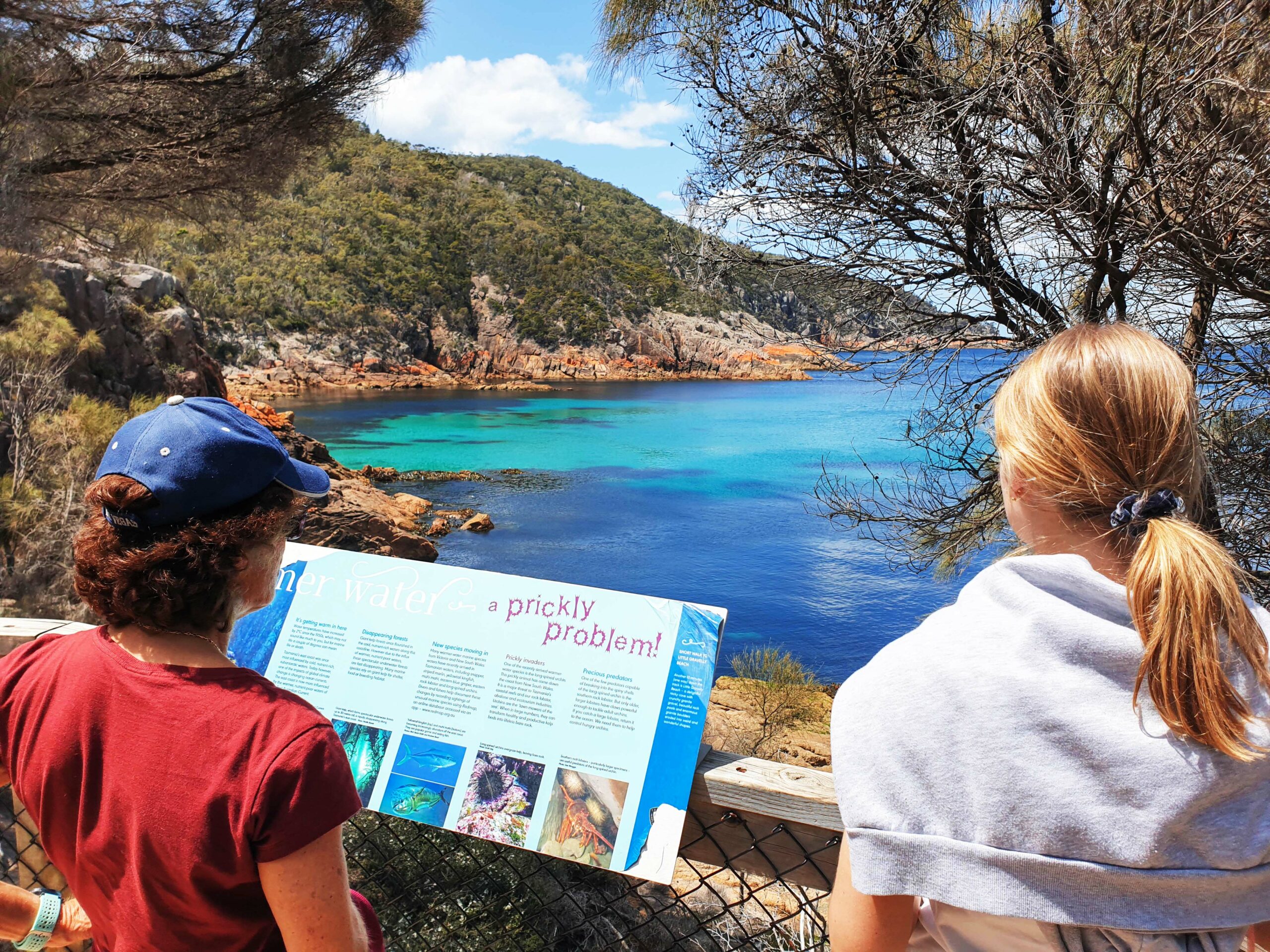 Wineglass Bay Discovery - Freycinet NP & Tasmania East Coast Day Tour via Richmond