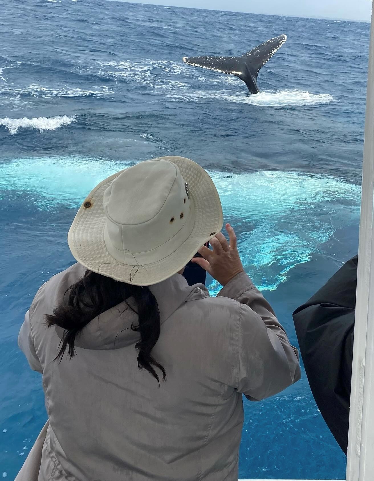 2HR Mooloolaba Whale Watching Experience (June – Oct)