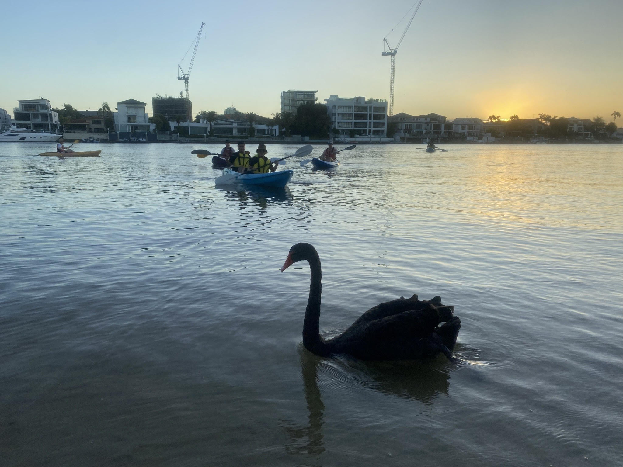 Surfers Paradise Sunset Kayak Tour