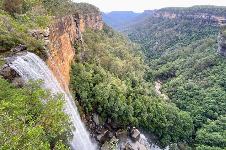 All-inclusive Walking with Wombats Tour