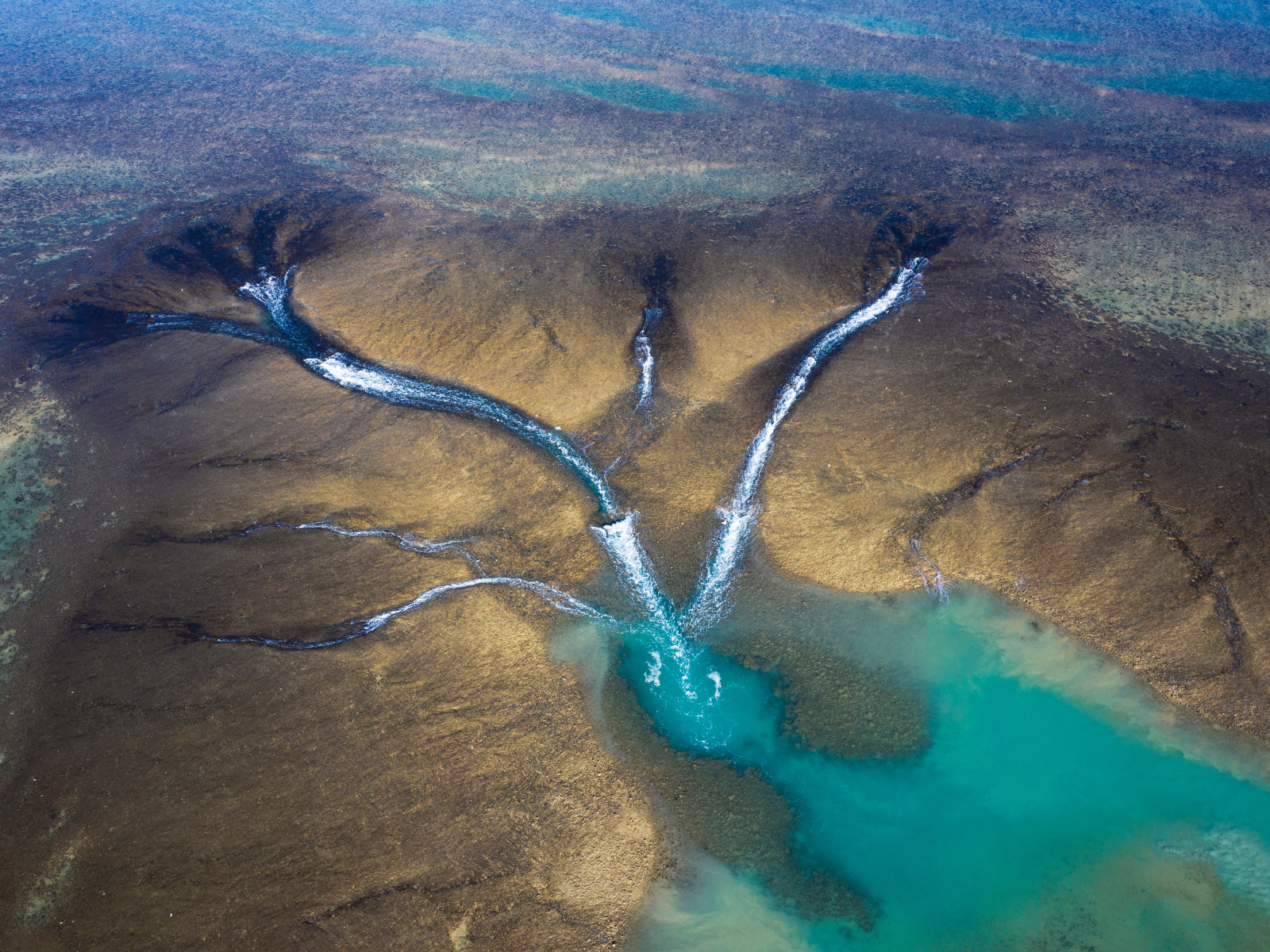 DBY-MRH | Montgomery Reef & Horizontal Falls Highlights (flyover only) ex Derby
