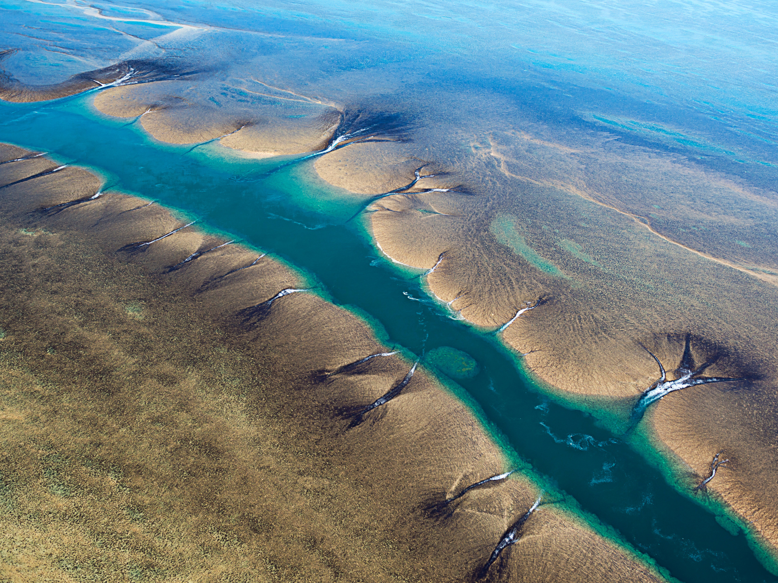 DBY-MRH | Montgomery Reef & Horizontal Falls Highlights (flyover only) ex Derby