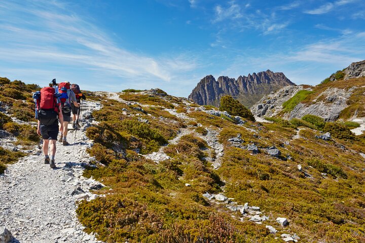 Cradle Mountain transfer from Launceston