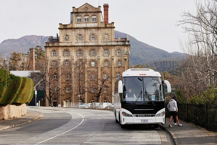 Hobart City Sightseeing Tour including MONA Admission