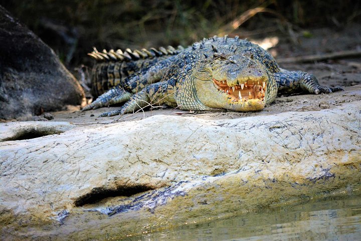 Ethical Adventures - Best in the WET - Litchfield / Kakadu 3 Day- max 10 guests