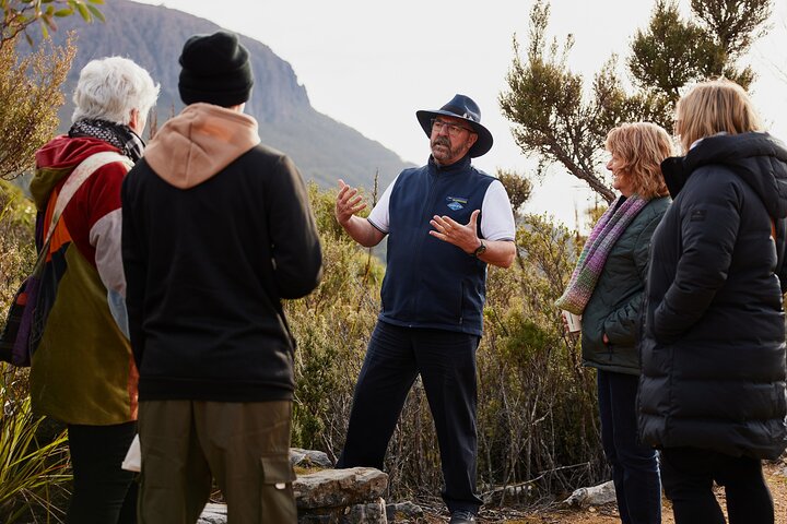 Mt Wellington Ultimate Experience Tour from Hobart