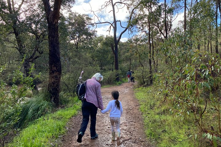 Waterfalls and Rock Hopping Kids Adventure Hike in Lesmurdie