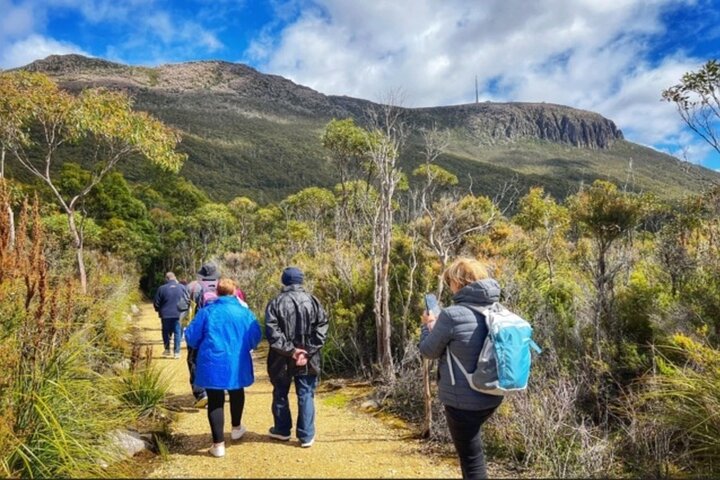 Mt Wellington Ultimate Experience Tour from Hobart