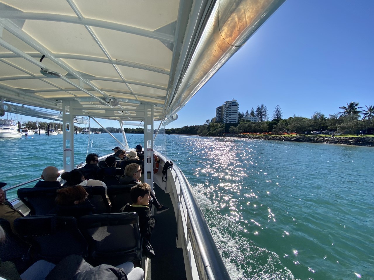 Coastal Express 2HR Mooloolaba Whale Watching Experience (June - Oct)