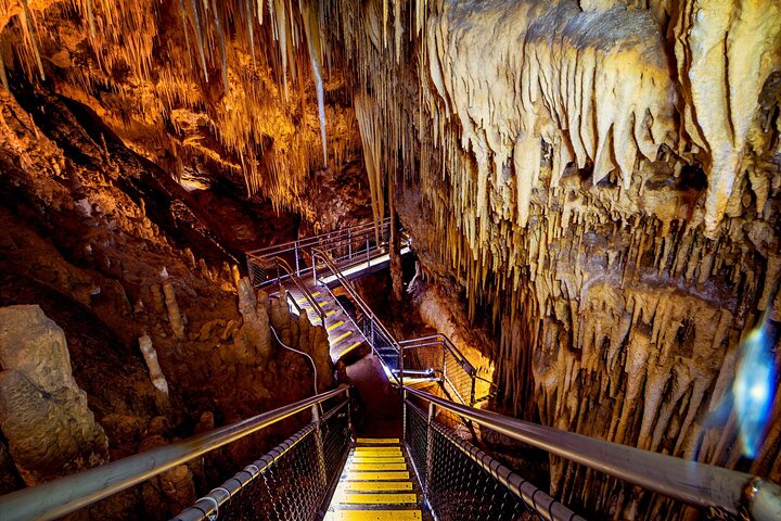 Tahune Airwalk & Hastings Cave Active Day Tour from Hobart
