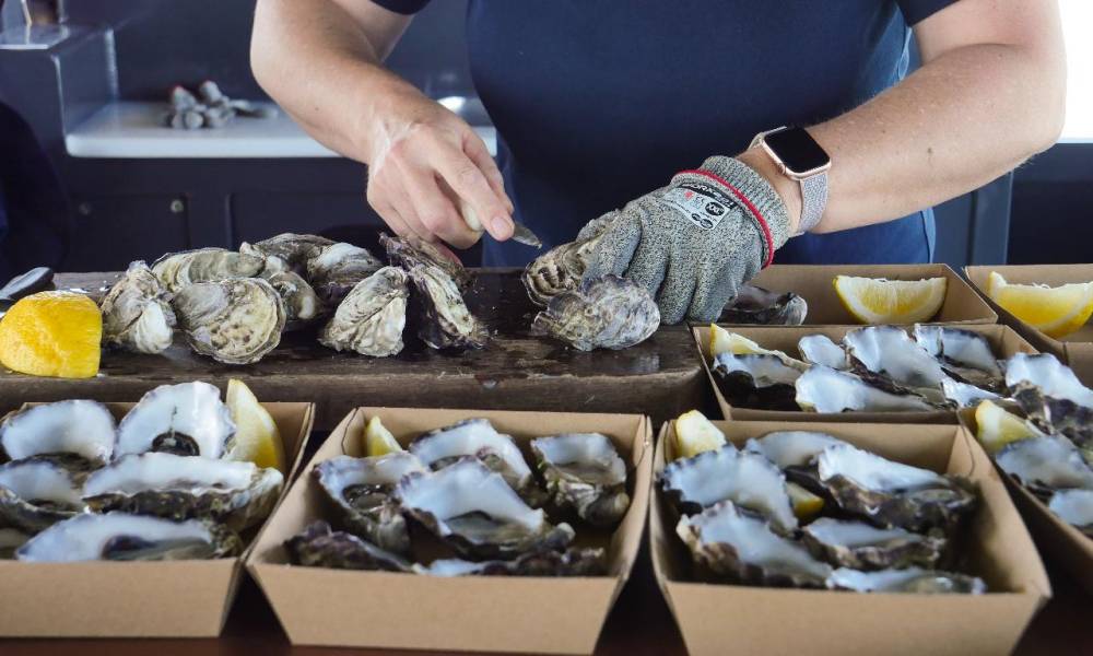 3 Hour Coffin Bay Oyster Farm and Bay Tour