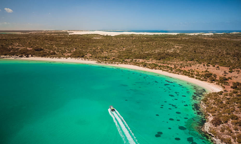 3 Hour Coffin Bay Oyster Farm and Bay Tour