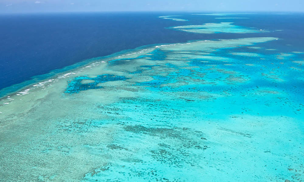 Inner Reef 30 Minute Scenic Flight