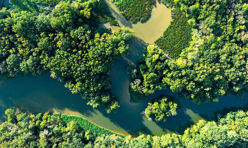 Beyond The Range 30 Minute Rainforest Scenic Flight