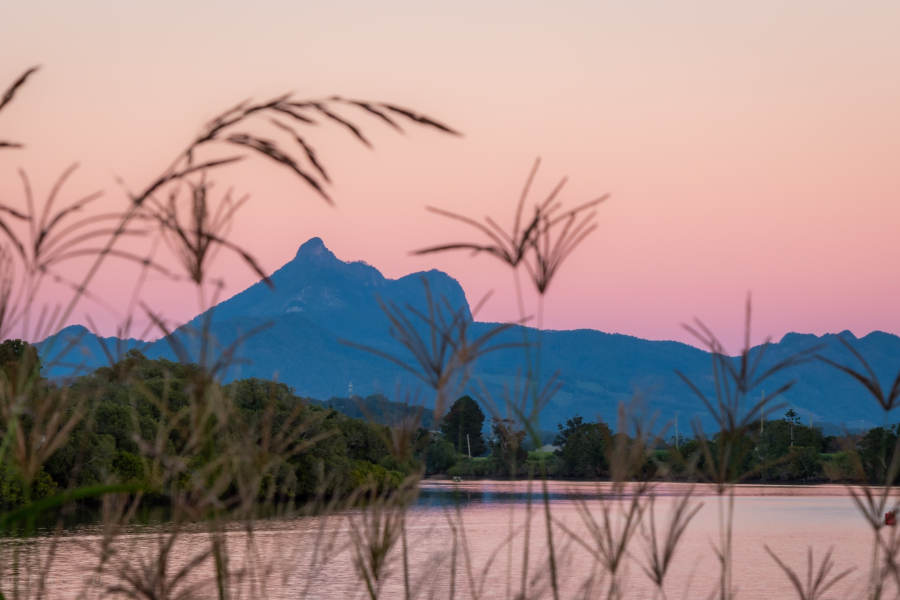 6 Hour Tweed River Cruise to Husk Distillery including Lunch