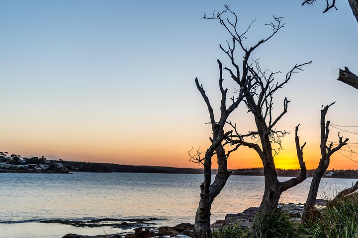 Much More to See of Sydney Private Tour