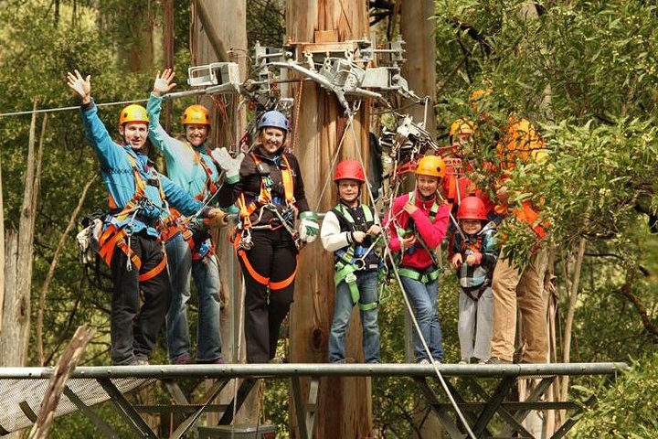 Otway Fly Treetop Adventures Admission Including Zipline Tour