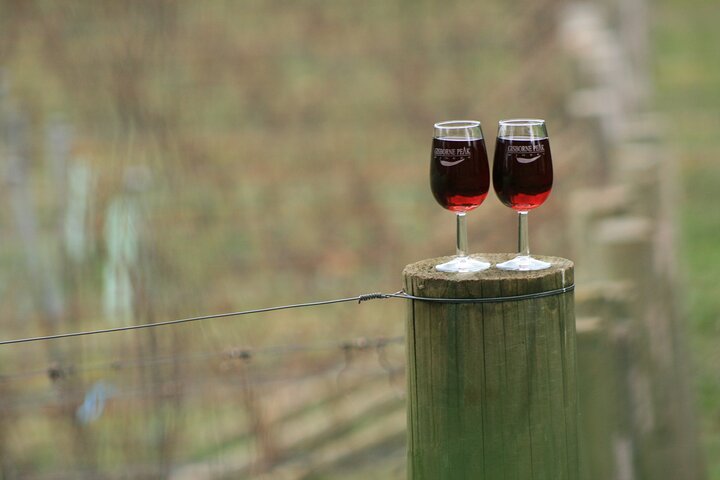 Lunch for Two at Gisborne Peak Winery