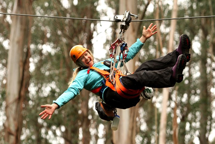 Otway Fly Treetop Adventures Admission Including Zipline Tour