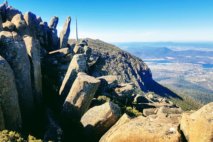 Mt. Wellington Morning Hike + Afternoon Beer & History Walk